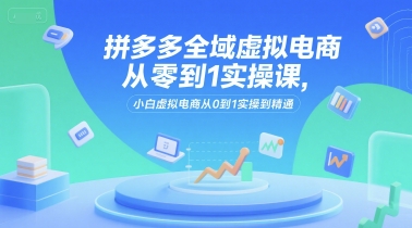拼多多全域虚拟电商从零到1实操课，小白虚拟电商从0到1实操到精通-佳腾网赚