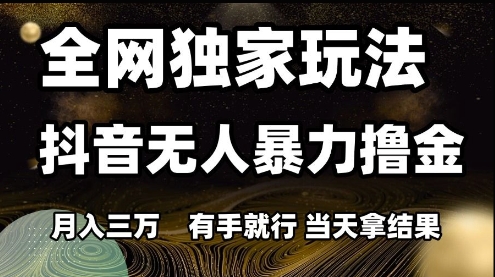 全网独家玩法抖音无人暴力撸金，月入3W，有手就行，当天拿结果【揭秘】-佳腾网赚