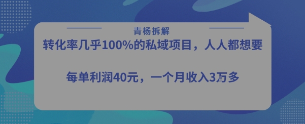 转化率最高的私域项目，每单利润40-50米，月入过1w-佳腾网赚