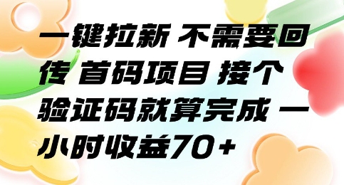 一键拉新 不需要回传 首码项目 接个验证码就算完成 一小时收益70+【揭秘】-佳腾网赚