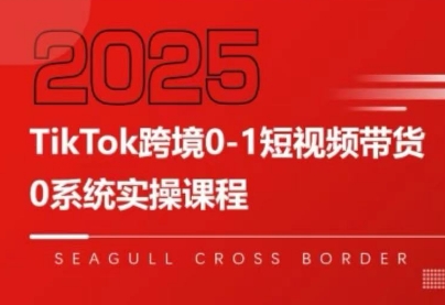 大亿老师·TikTok跨境0-1短视频带货-佳腾网赚