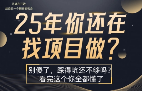 25年，你还在疯狂的找项目吗？别傻了，看完这个你都懂了【揭秘】-佳腾网赚