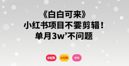 小白可来 小红书项目不需要剪辑 单月3w不是问题-佳腾网赚