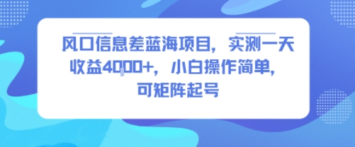 风口信息差蓝海项目，实测一天收益4k+，小白操作简单，可矩阵起号-佳腾网赚