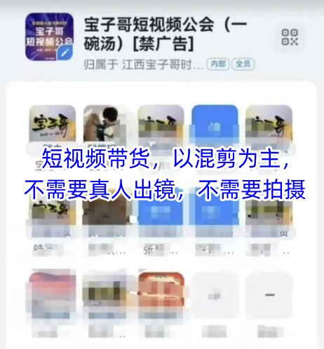 宝子哥头部团队短视频带货，以混剪为主，不需要真人出镜，不需要拍摄【更新8月】-佳腾网赚