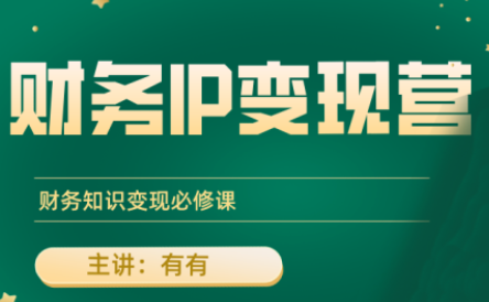 有有老师·财务IP变现营，财务知识变现必修课-佳腾网赚
