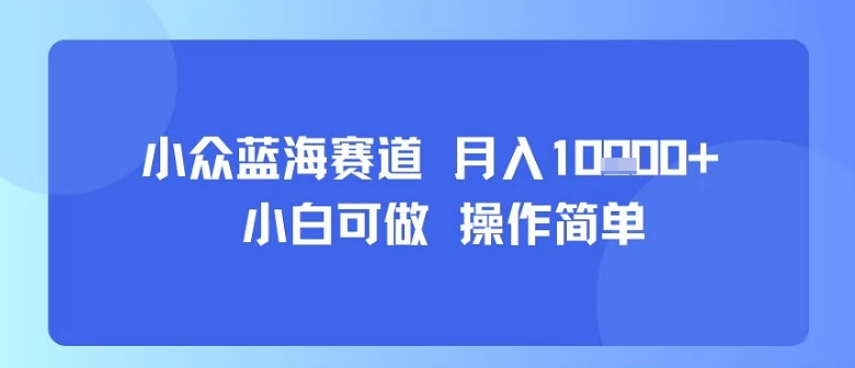 小众蓝海赛道，小白可做，操作简单，每天30分钟，月入1W+-佳腾网赚