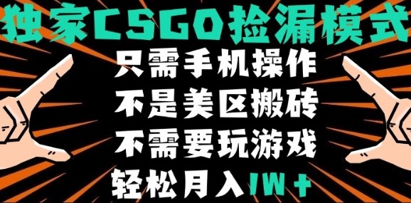 CSGO自动捡漏项目，最新独家玩法，不是美区搬砖，不需要了解和玩游戏，新手小白轻松月入1W+【揭秘】-佳腾网赚