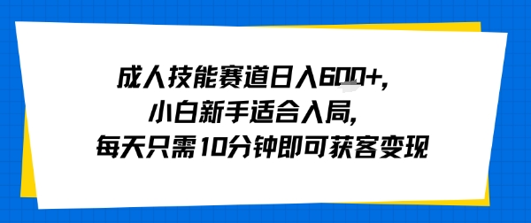 成人技能赛道日入多张，小白新手适合入局，每天只需10分钟即可获客变现-佳腾网赚