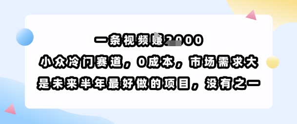 一条视频挣1k，小众冷门赛道，0成本，市场需求大，是未来半年最好做的项目，没有之一-佳腾网赚
