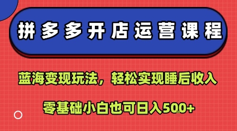 拼多多开店运营课程：蓝海变现玩法，轻松实现睡后收入，零基础小白也可日入5张-佳腾网赚