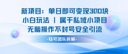 新项目单日即可变现3张的小白玩法无脑操作不封号安全引流-佳腾网赚