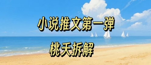 小说推文项目操作全流程第一弹，0粉就能做，门槛低非常适合新手-佳腾网赚