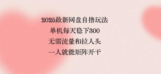 2025最新网盘自撸玩法，单机每天稳下3张，无需流量和拉人头，一个人就可轻松矩阵，全网独一份【揭秘】-佳腾网赚