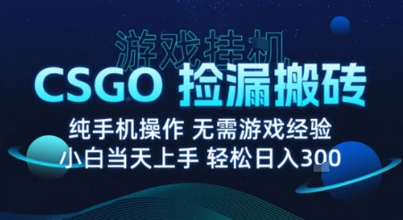 8月最新游戏搬砖，CSGO纯挂G，不需要玩游戏，实现真挂G，月入1W+【揭秘】-佳腾网赚