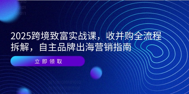 2025跨境致富实战课，收并购全流程拆解，自主品牌出海营销指南-佳腾网赚