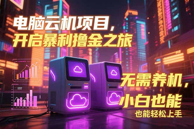电脑云机项目 暴力撸金玩法，不需要养机 配置没有要求 单机100个窗口一...-佳腾网赚