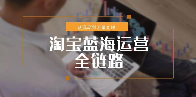 淘宝蓝海运营全链路，从选品到流量变现，小类目突围完整方案-佳腾网赚