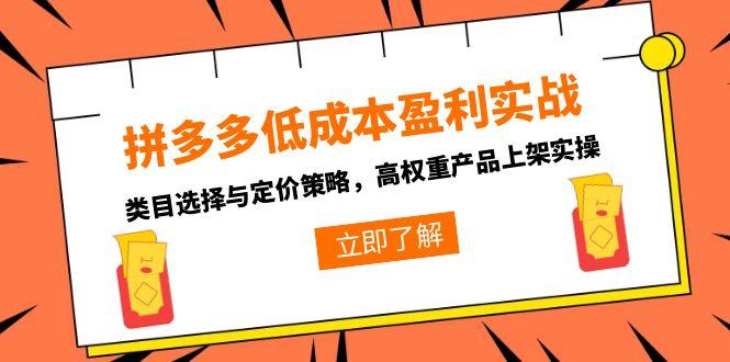 拼多多低成本盈利实战，类目选择与定价策略，高权重产品上架实操-佳腾网赚