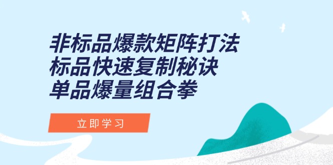 非标品爆款矩阵打法，标品快速复制秘诀，单品爆量组合拳-佳腾网赚