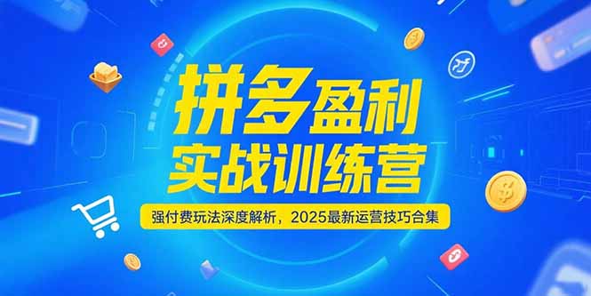 拼多多盈利实战训练营，强付费玩法深度解析，2025运营技巧合集-更新6月-佳腾网赚