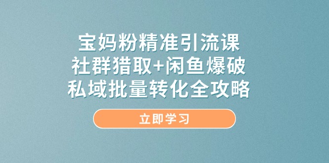宝妈粉精准引流课，社群猎取+闲鱼爆破，私域批量转化全攻略-佳腾网赚