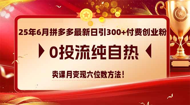 25年6月拼多多最新日引300+付费创业粉，0投流纯自热 卖课月变现六位数方法-佳腾网赚