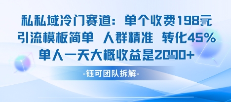 私域冷门赛道单个收费198米引流模板简单人群精准 45%的转化率单人一天大概收益多张-佳腾网赚