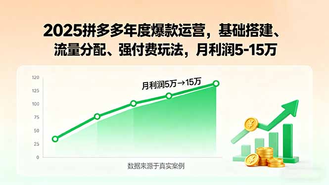 2025拼多多年度爆款运营，基础搭建、流量分配、强付费玩法，月利润5-15万-佳腾网赚