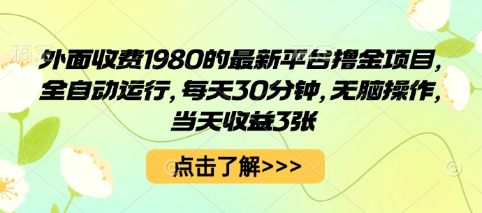 外面收费1980的最新平台撸金项目，全自动运行，每天30分钟，无脑操作，当天收益3张【揭秘】-佳腾网赚