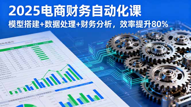 2025电商财务自动化课，模型搭建+数据处理+财务分析，效率提升80%-佳腾网赚
