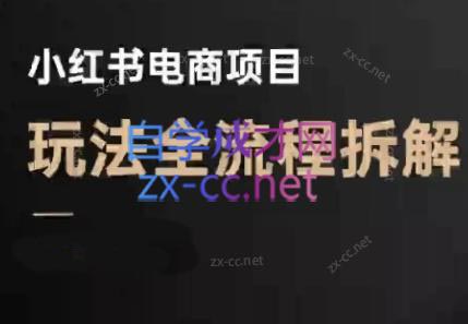 菲菲老师·小红书电商玩法(更新9月)-佳腾网赚