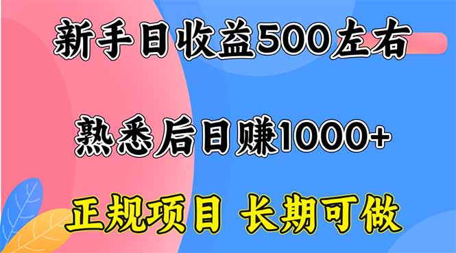 新手日收益500+ 正规项目 长期可做-佳腾网赚