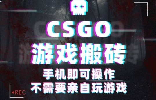 CSGO游戏挂G捡漏，单日扫货5张+，年底小高峰上车可吃肉，手机即可操作，兼职副业创业网创【揭秘】-佳腾网赚