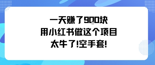 一天挣了9张用小红书做这个项目太牛了，空手套-佳腾网赚