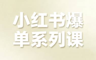 尼采老师·小红书爆单系列课-佳腾网赚