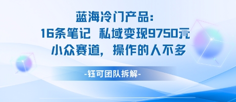 蓝海项目：16条笔记私域变现9750米小众赛道操作的人不多-佳腾网赚
