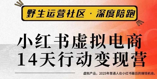 小红书虚拟电商14天变现训练营3.0，​虚拟产品，2025年普通人在小红书最后的搞钱机会-佳腾网赚
