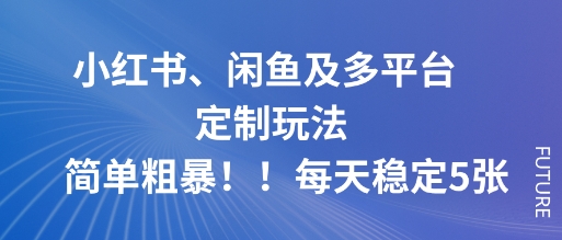 小红书、闲鱼及多平台定制玩法简单粗暴！每天稳定5张-佳腾网赚