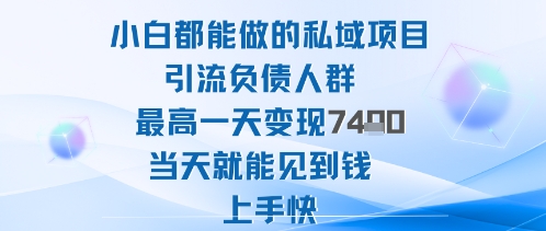 2025年小白都能做的私域项目引流负债人群最高一天变现1k+高变现难度低当天就能见到钱上手快-佳腾网赚