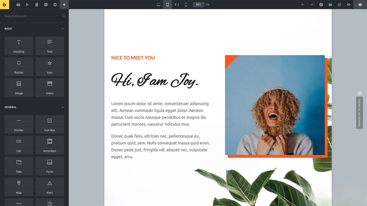 WordPress主题Bricks v1.9 破解版-佳腾网赚