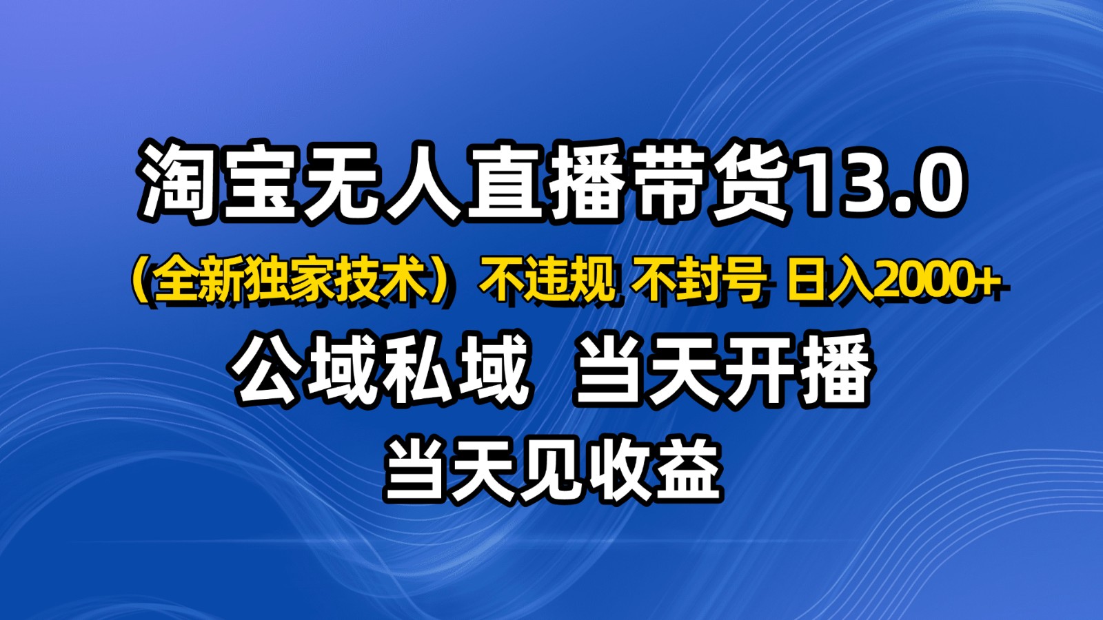 淘宝无人直播13.0，公域私域技术，不封号，不违规 布局下半年旺季赛道，日入2000+-佳腾网赚