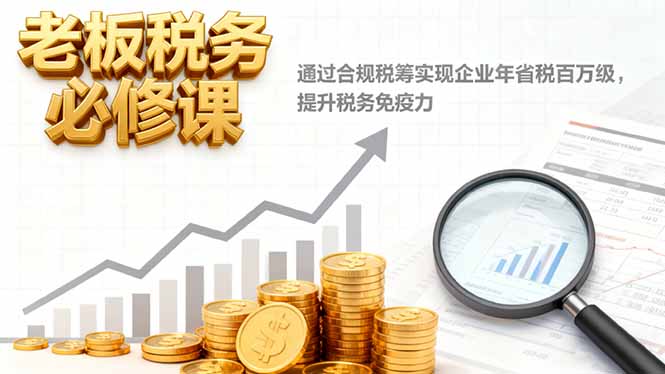 老板税务必修课，通过合规税筹实现企业年省税百万级，提升税务免疫力-佳腾网赚