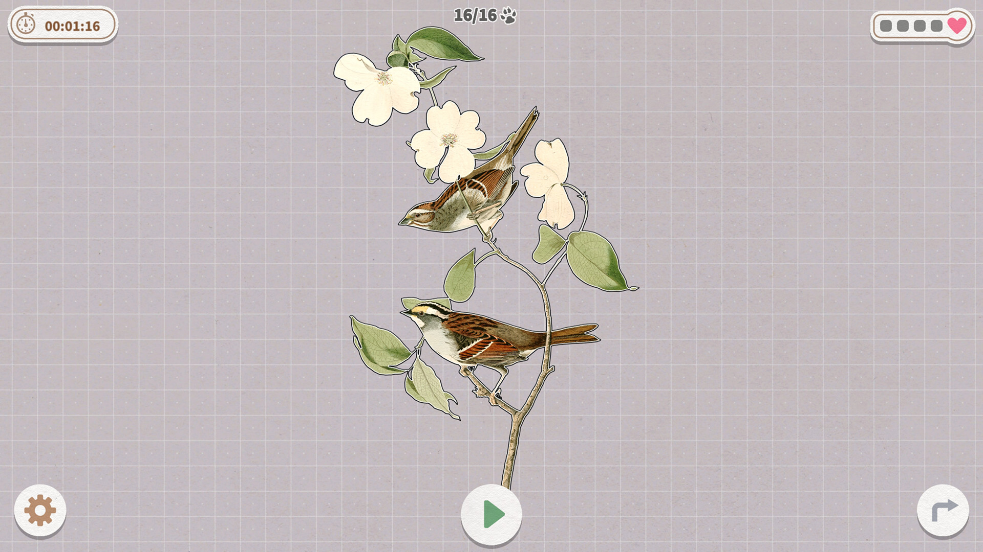 《挤在一起的鸟鸟/Birds Huddled Together》PC中文版下载-含Build.14298719-佳腾网赚