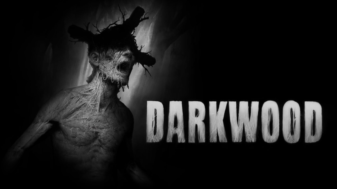 《阴暗森林 Darkwood》Switch中文版NSP下载-佳腾网赚