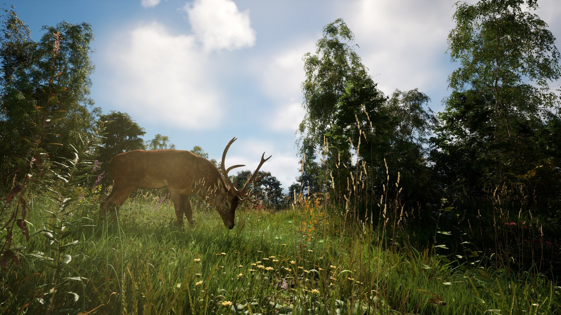 《恐惧地带/DREADZONE》PC中文版下载-含v1.5.5.1-佳腾网赚