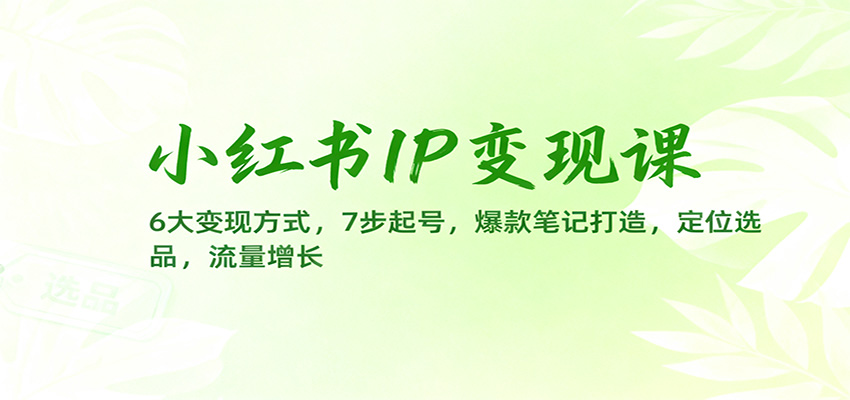 小红书IP变现课：6大变现方式，7步起号，爆款笔记打造，定位选品，流量增长-佳腾网赚