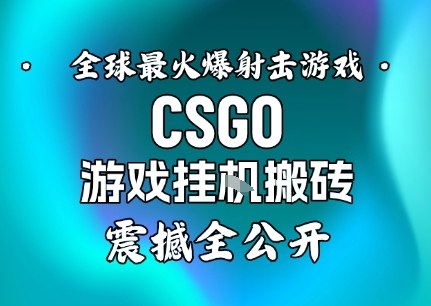 【年底大揭秘】基于全球最火爆的射击CSGO游戏挂G搬砖，日入5张+，震撼公开-佳腾网赚