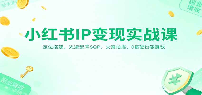 小红书IP变现实战课：定位搭建，光速起号SOP，文案拍摄，0基础也能赚钱-佳腾网赚