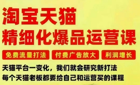 淘宝天猫精细化爆品运营课，免费流量打法-付费广告放大-利润增长-三大核心痛点，一次全部解决-佳腾网赚